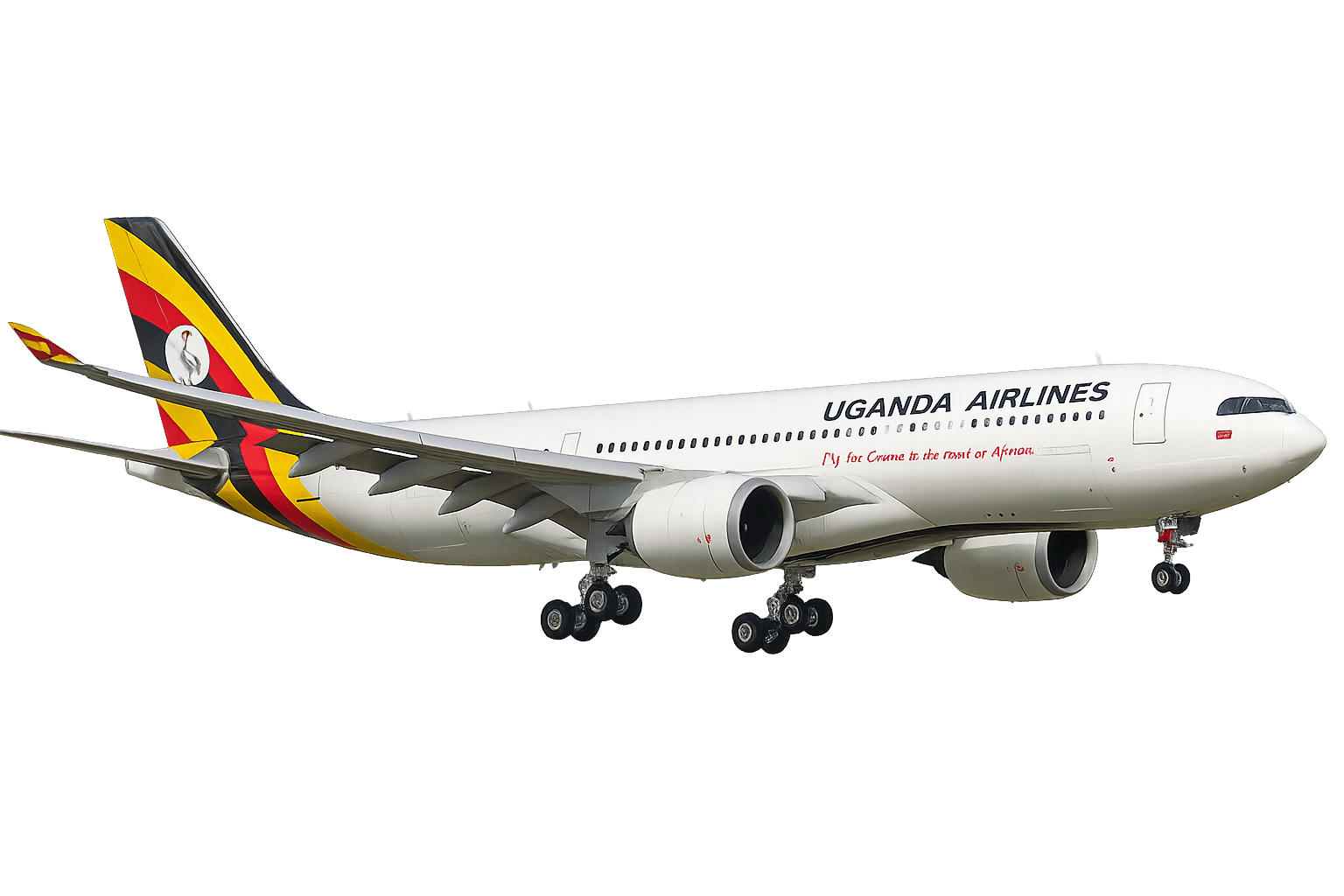 eu dream travel consultants